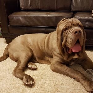 Meet your Posher, Hen